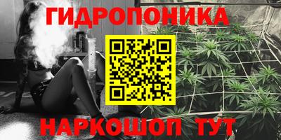 PSILOCYBIN Бугуруслан